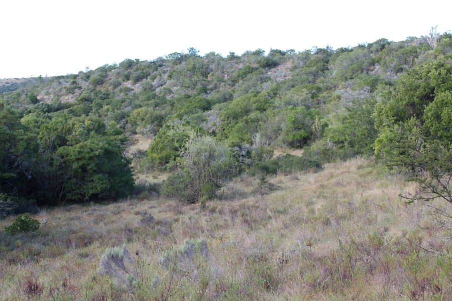 1 Bedroom Property for Sale in Bathurst Rural Eastern Cape